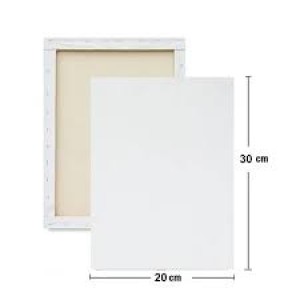 TELA PARA PINTURA 20x30CM