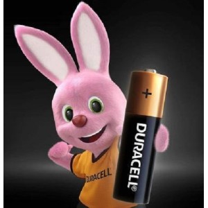 PILHA PALITO ALCALINA AAA COM 4 UNIDADES DURACELL