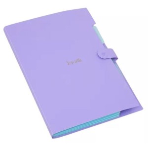 PASTA SANFONADA A4 5 DIVISÓRIAS LILÁS PASTEL POLIBRAS