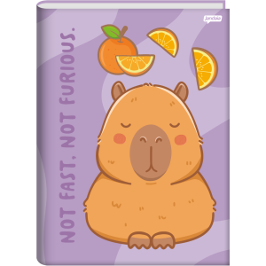 CADERNO 80FLS UNIVERSITÁRIO CAPA DURA BROCHURA CAPYVIBES JANDAIA